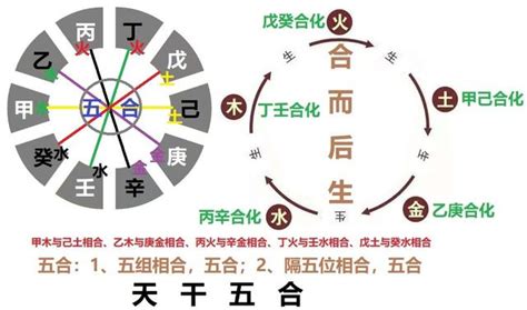 戊癸合老少配|原创 天干五合，看你会有怎样的爱情婚姻模式